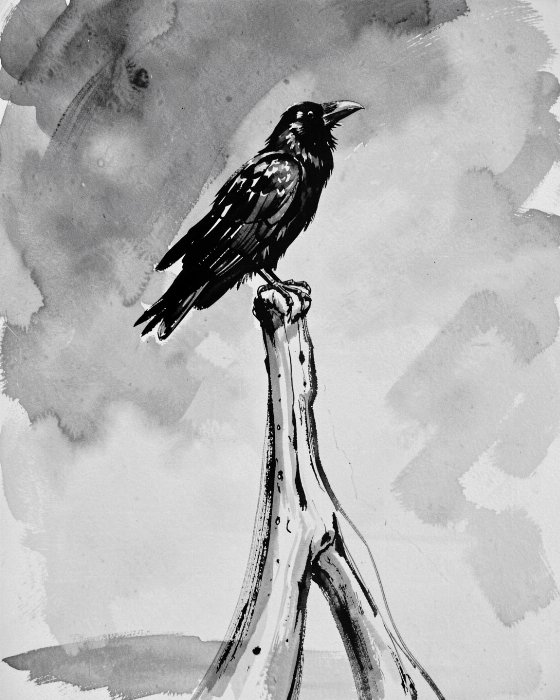 Raven Perch
