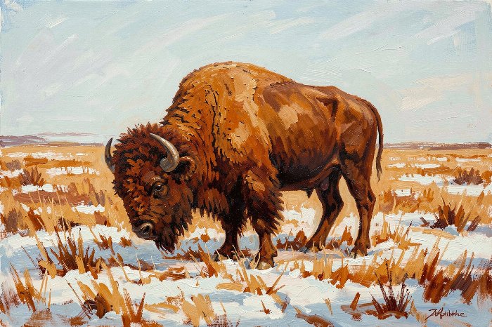 Winter Grazing