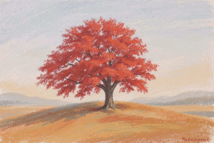 Crimson Maple