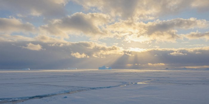 Arctic Light