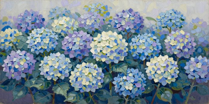 Hydrangea Hedge