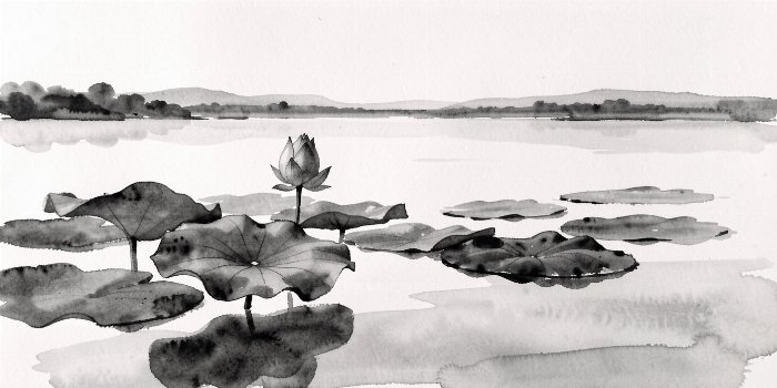 Ink Lotus
