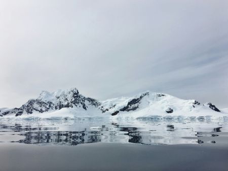 Frigid Duality Wonderland