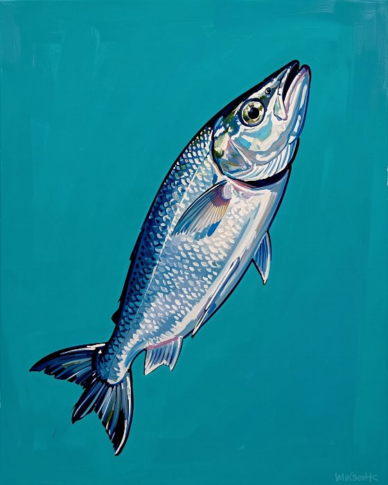 Rising Cod