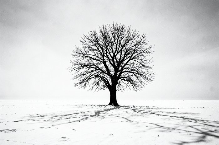Winter's Shadow