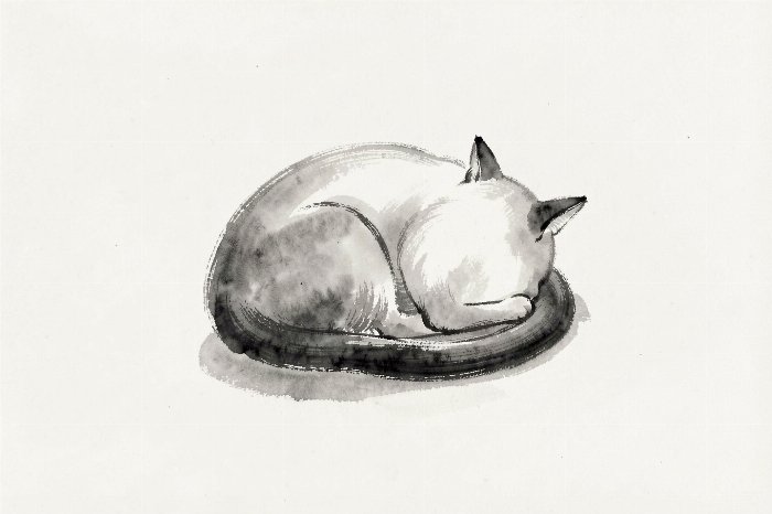 Ink Cat