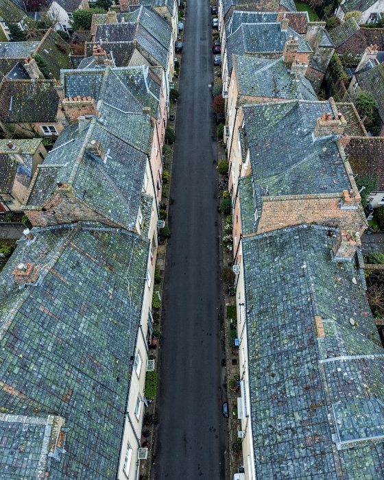 Rooftop Row II