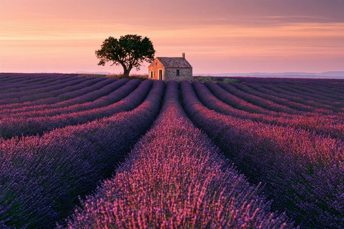 Provence Dusk
