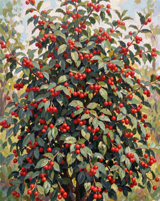 Partridgeberry Light