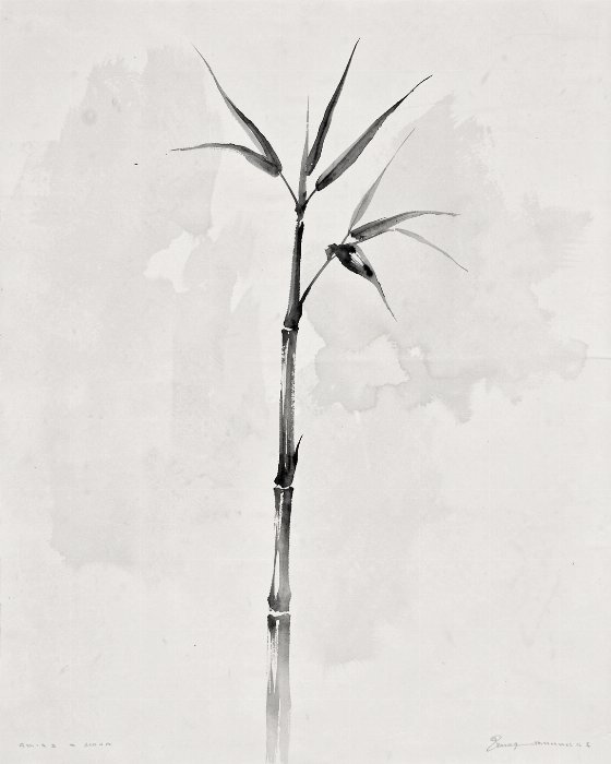 Bamboo Ink
