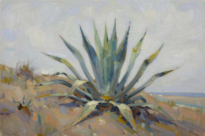 Coastal Agave