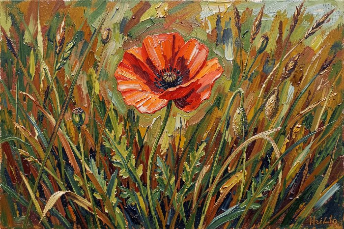 Poppy Verge
