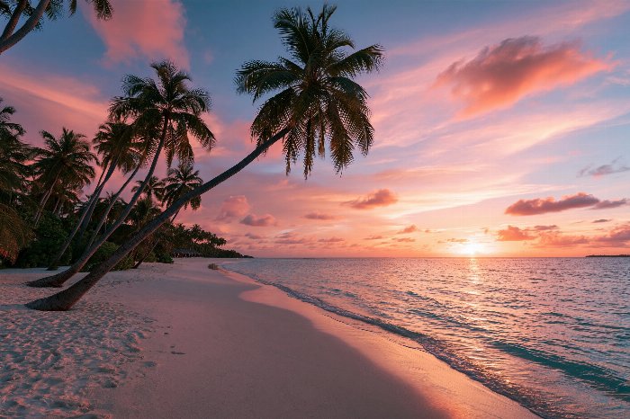 Paradise Dusk
