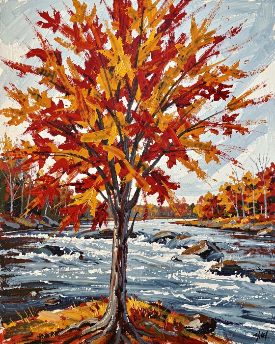 River Maple