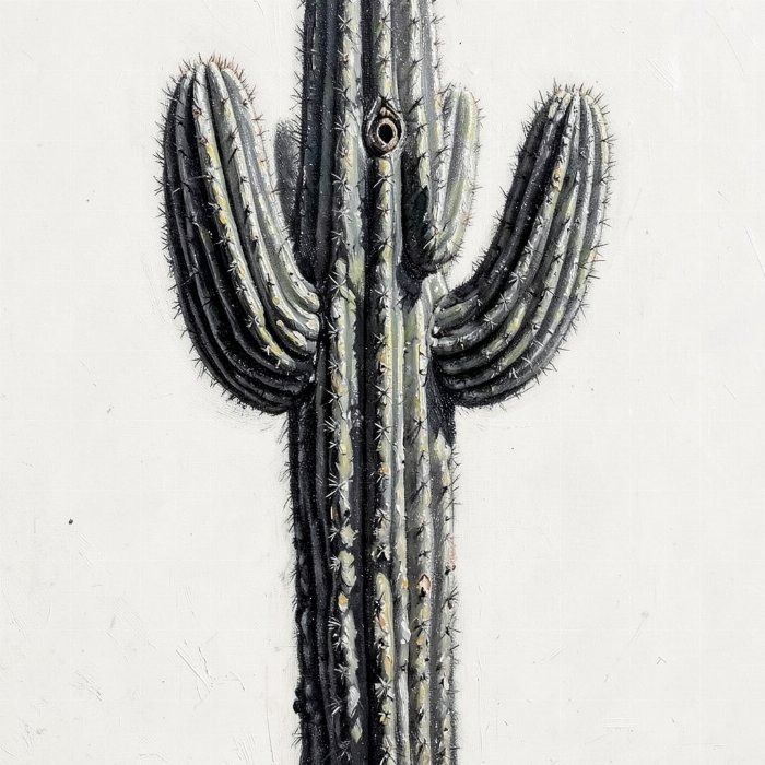 High Desert