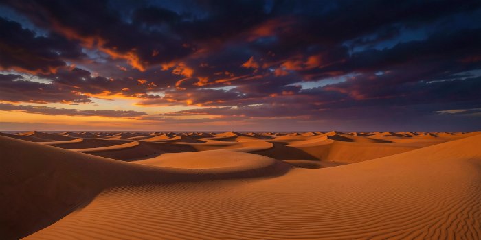 Desert Sweep