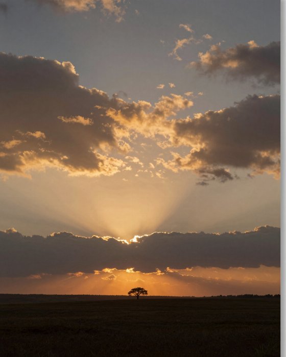 Prairie Dusk II