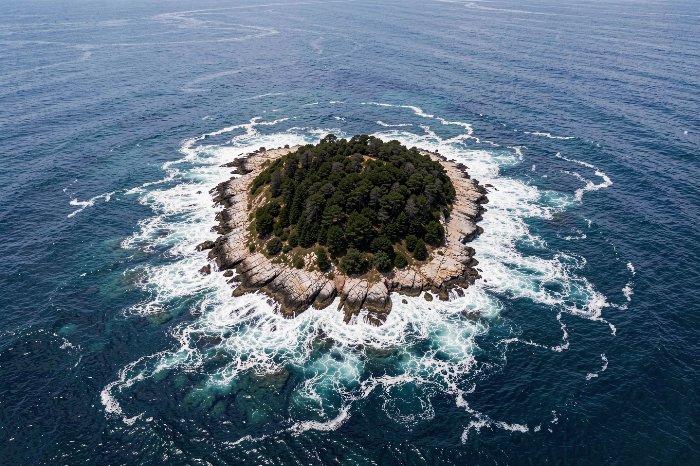 Ocean Sentinel