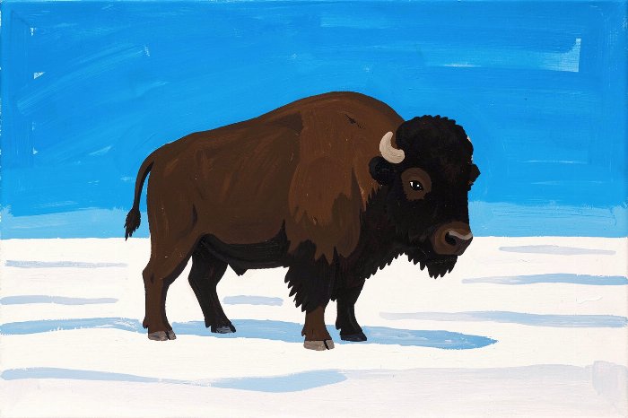Snow Bison