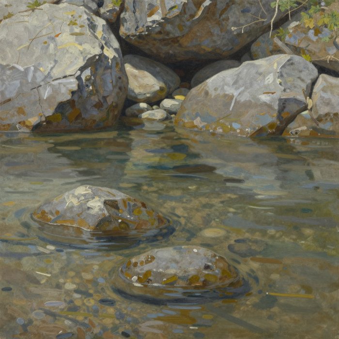 Midday Shallows