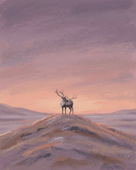 Ridge Wanderer