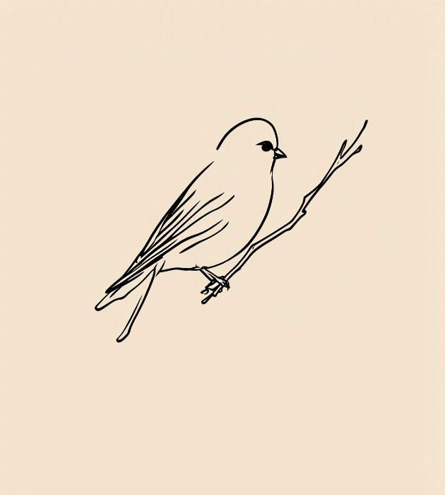 Solitary Perch II