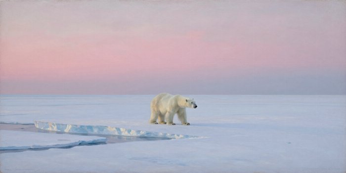 Ice Bear