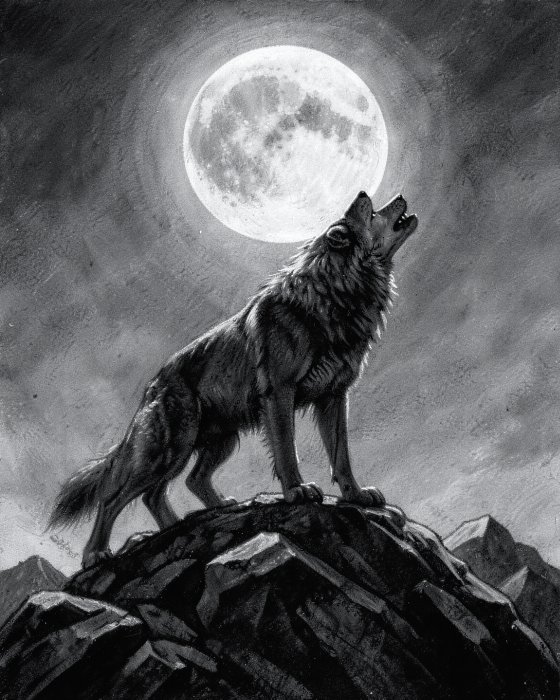 Wolf Moon