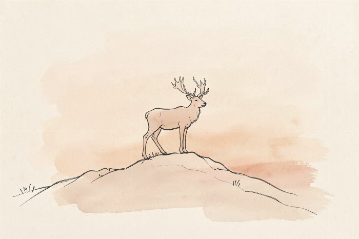 Ridge Elk