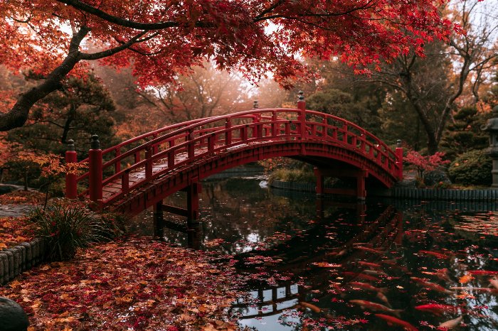 Autumn Crossing