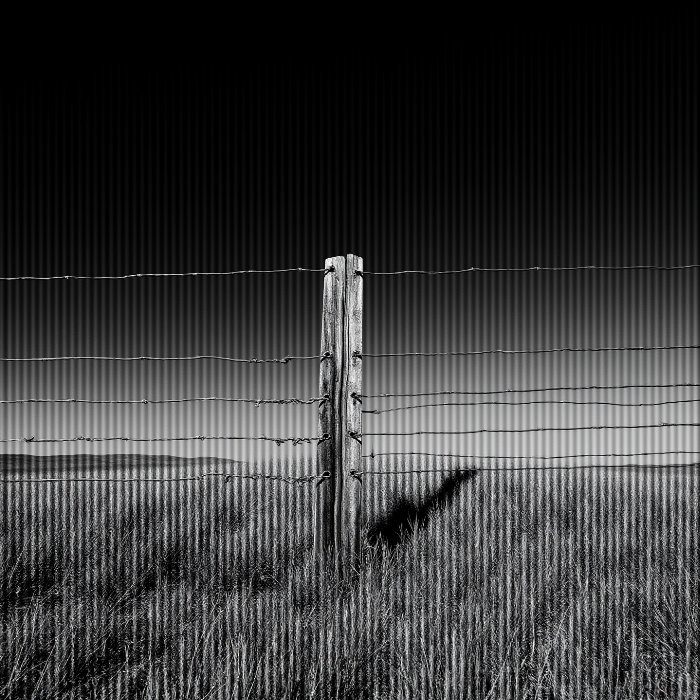 Fencepost II