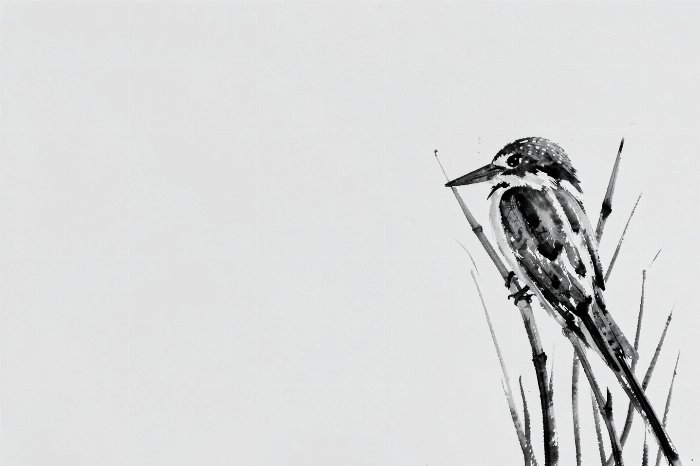 Ink Kingfisher