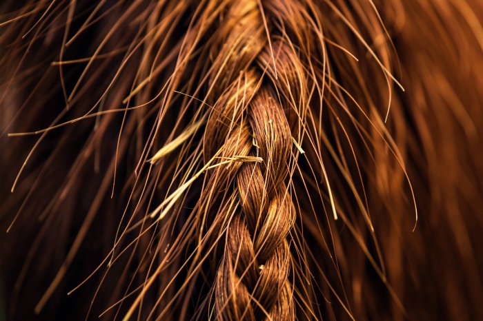 Woven Light