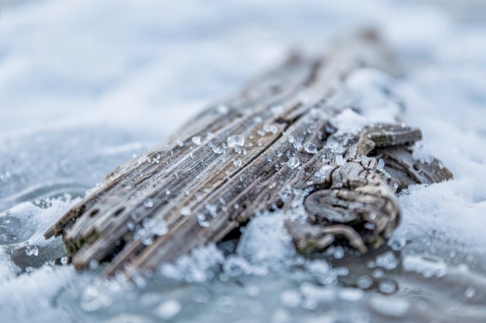 Frozen Grain