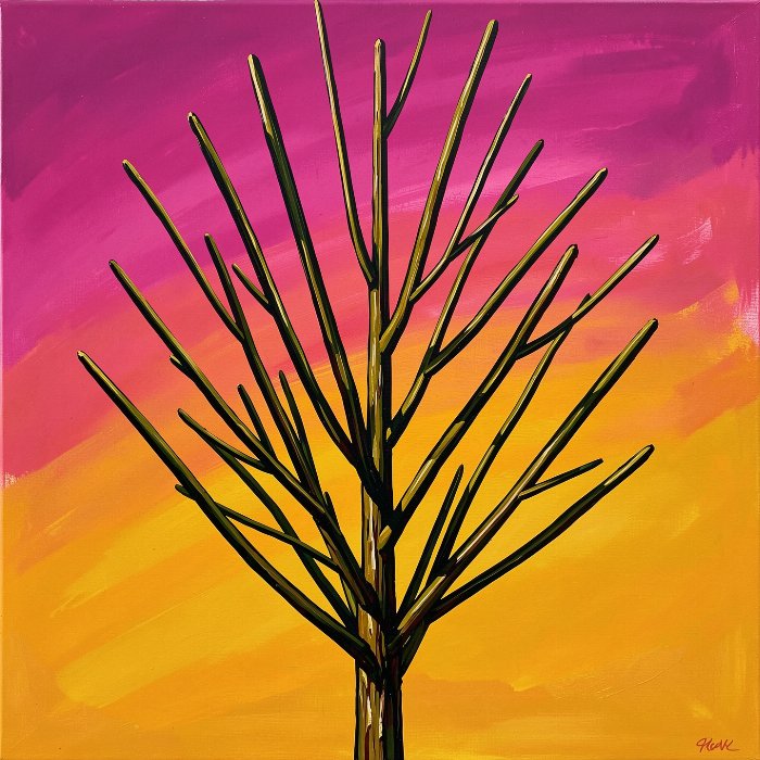 Ocotillo Glow