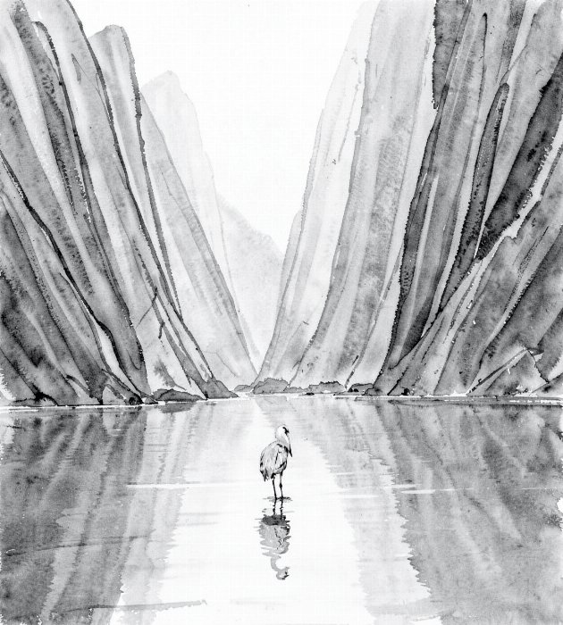 Canyon Heron II