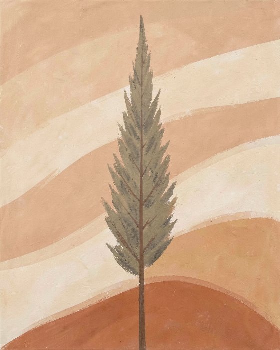 Cypress Rise
