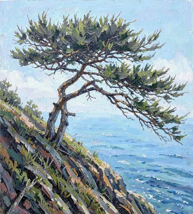 Coastal Pine II