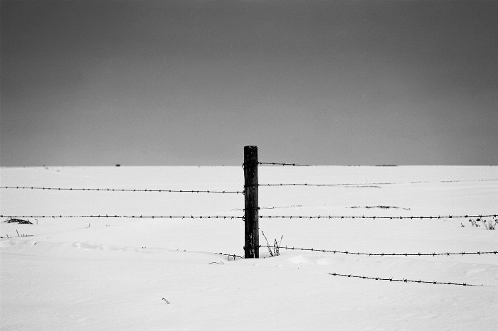 Fence Post