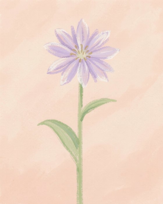 Bergamot Bloom