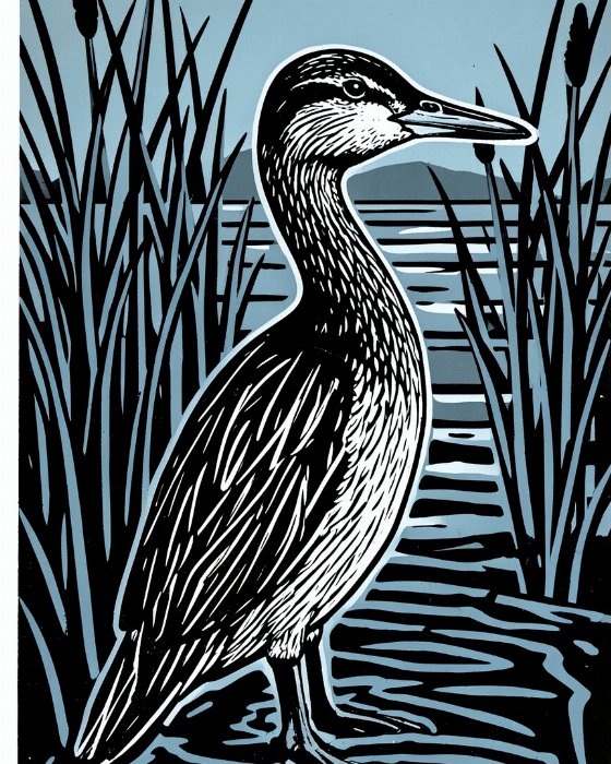 Loon Rising