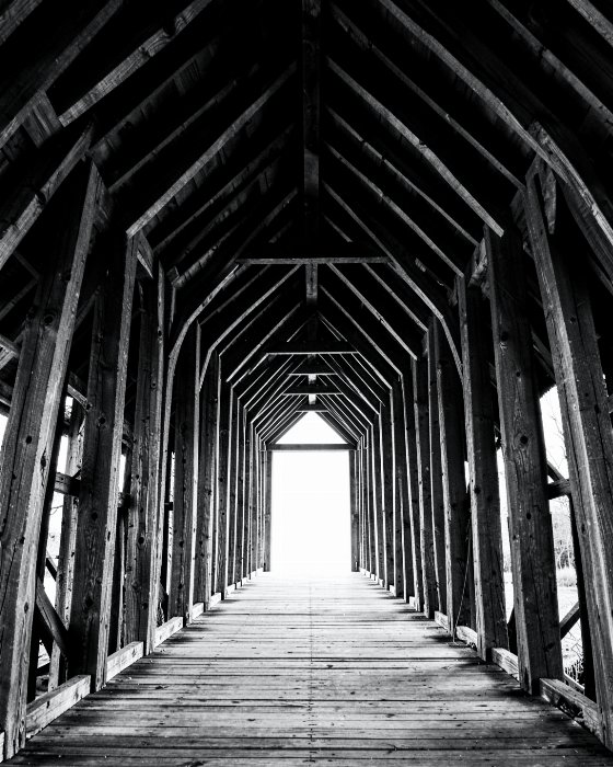 Crossing Light