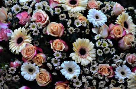 Motherly Frozen Blooms