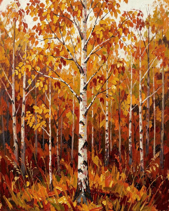 Birch Ascending