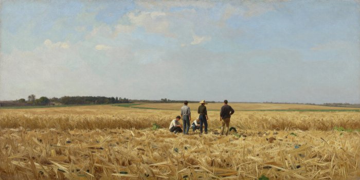 Harvest Pause