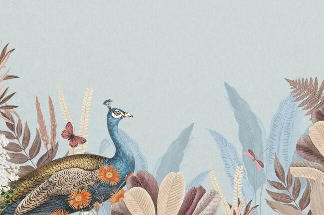 Blue aesthetic peacock