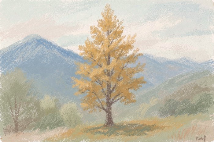 Larch Gold