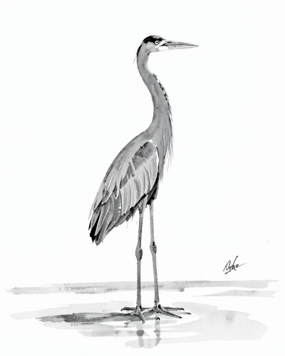 Reed Stance