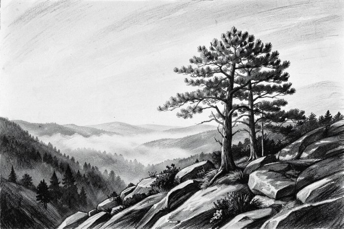 Misty Summit