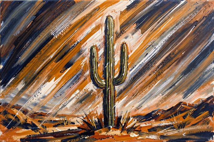 Saguaro Storm